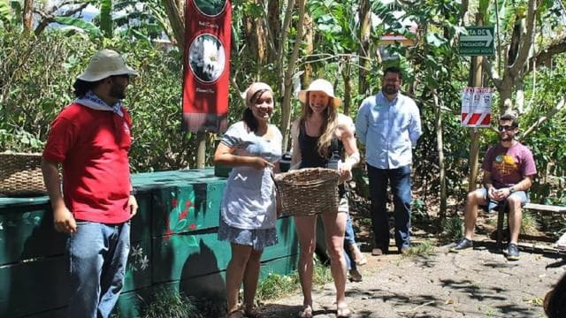 San José: Coffee Production Tour and Tasting