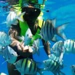 Catalina Island: Day Trip – Best Snorkeling!