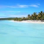 Puerto Plata: Tagesausflug mit dem Schnellboot zur Insel Cayo Arena - Dominican Republic