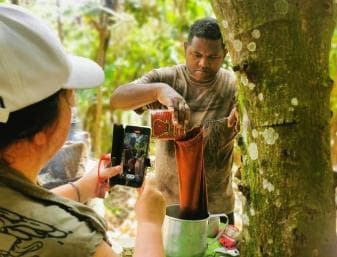 Private Damajagua Waterfalls Canyoning + Cocoa & Coffee Tour - Photo 4 (Gallery view)