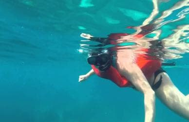 Full-Day Snorkeling Tour to Catalina Island