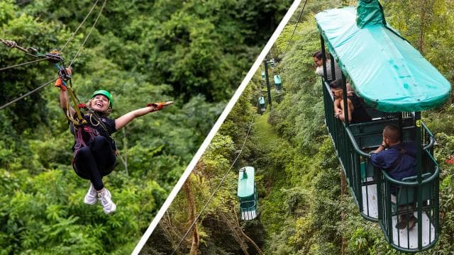 Canopy Zip line & Aerial Tram Tour Jacó