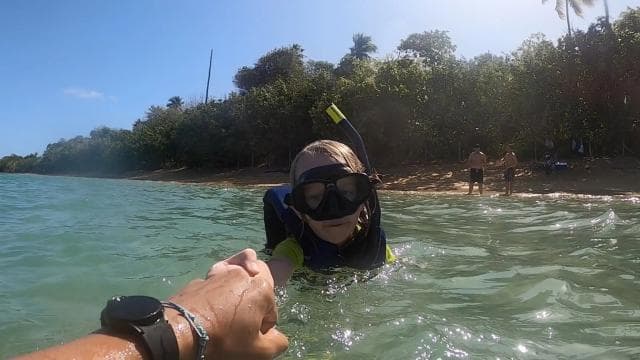 Snorkeling Lessons & Interactive Experience with Snacks