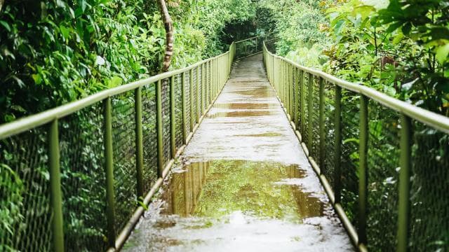 Río Celeste National Park Hike
