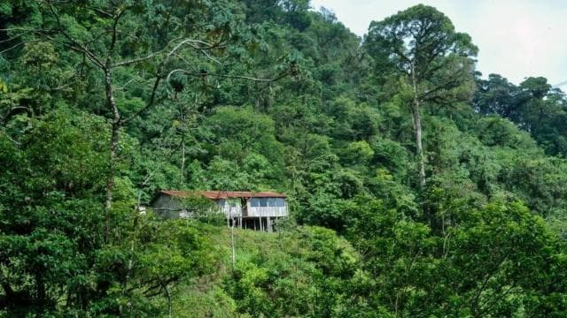 From Fortuna: 2 Day Hike to Monteverde with Hotel Transfer - Photo 4 (Gallery view)