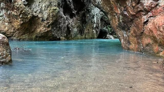 Rincon de la Vieja: La Leona Waterfall Private Tour