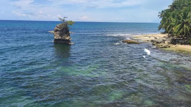 Puerto Viejo Talamanca: Hike through Gandoca Manzanillo Wild Life refuge.