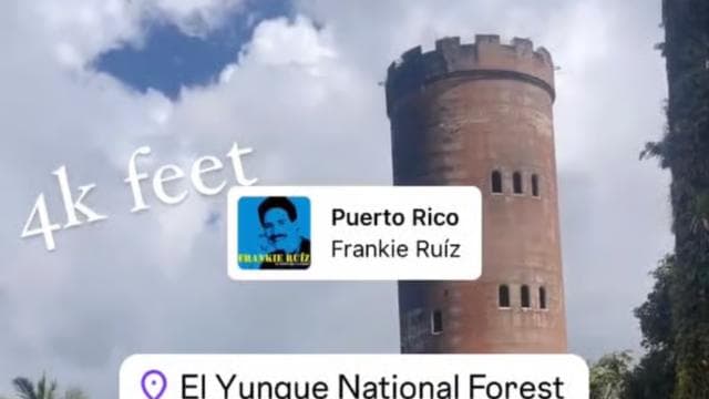 Tour El Yunque Bosque Lluvioso y Tobogán Acuático Puerto Rico - Photo 3 (Gallery view)