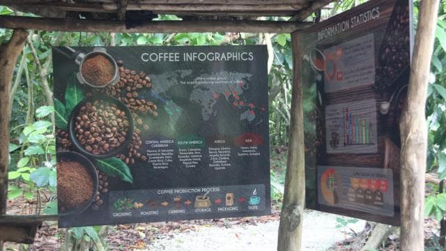 Punta Cana E-bike tour: Macao, El Salado, Ceiba, El Caño - Photo 5 (Gallery view)
