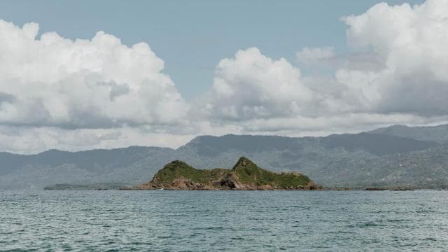 Uvita: Private Guided Tour - Sloth Watching Trail Costa Rica - Photo 3 (Gallery view)