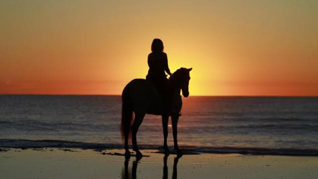 Tamarindo: Horseback to Conchal Beach Guanacaste, Costa Rica