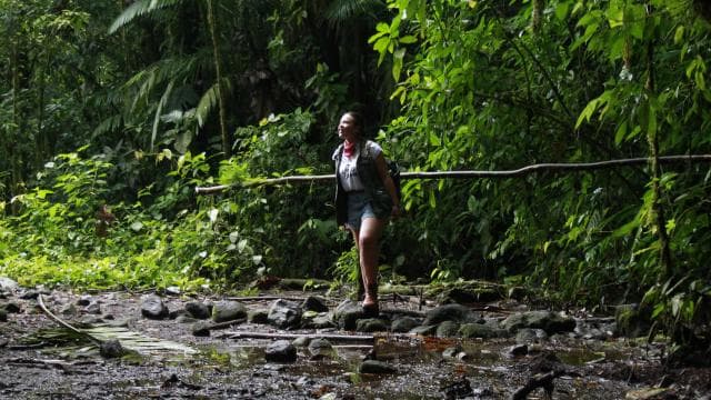 La Fortuna: Arenal Volcano, Lunch, & Hotsprings Morning Tour - Photo 3 (Gallery view)