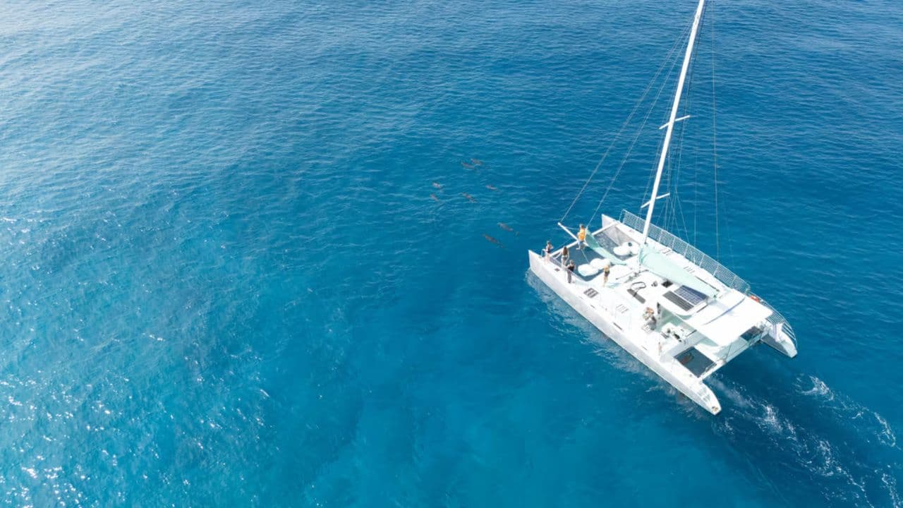 Saona Island Full Day Catamarán Food and Drink included - Photo 2 (Gallery view)