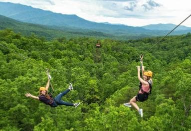 Private: Canopy Zip-Line Adventure in Punta Cana - Photo 3 (Gallery view)