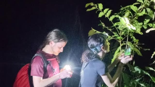 Jungle Pack x 3 Tour in the National Park - Dominican Republic
