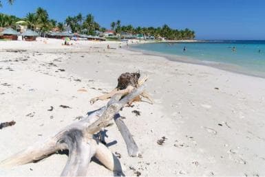 Private Catalina Island Snorkel & Beach Day from Punta Cana - Photo 2 (Gallery view)