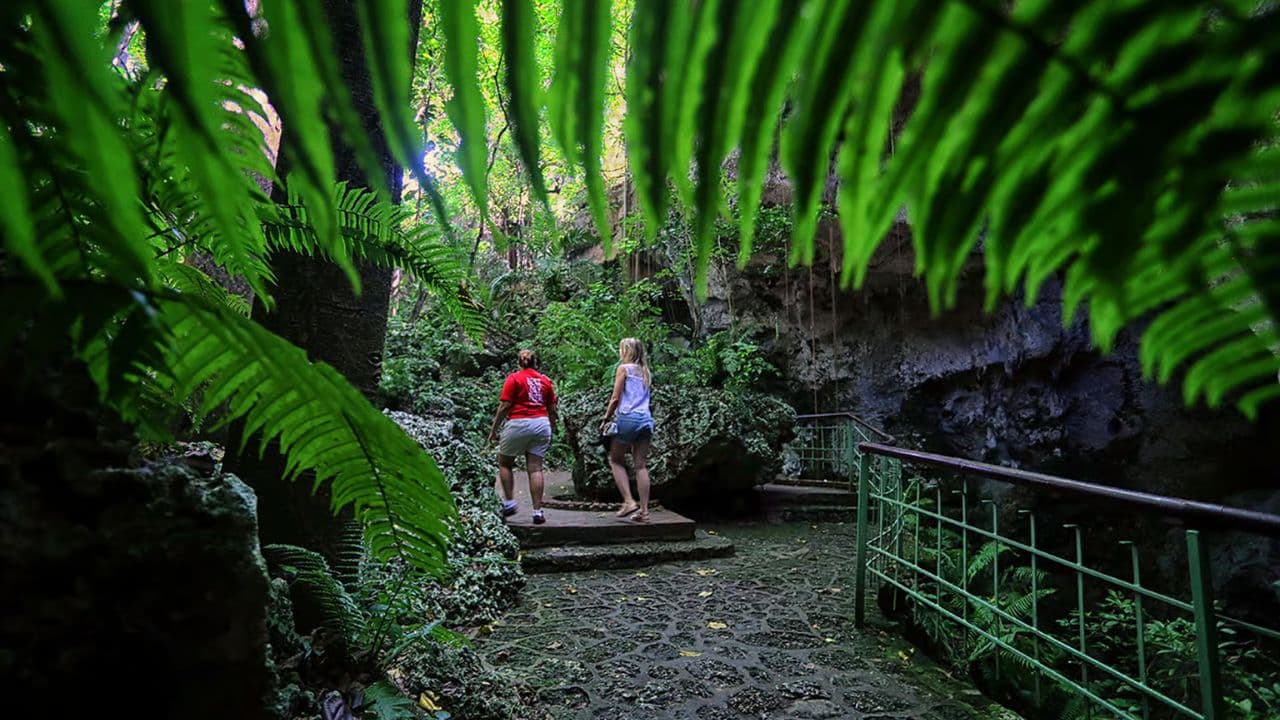 Santo Domingo: Three Eyes National Park Immersion