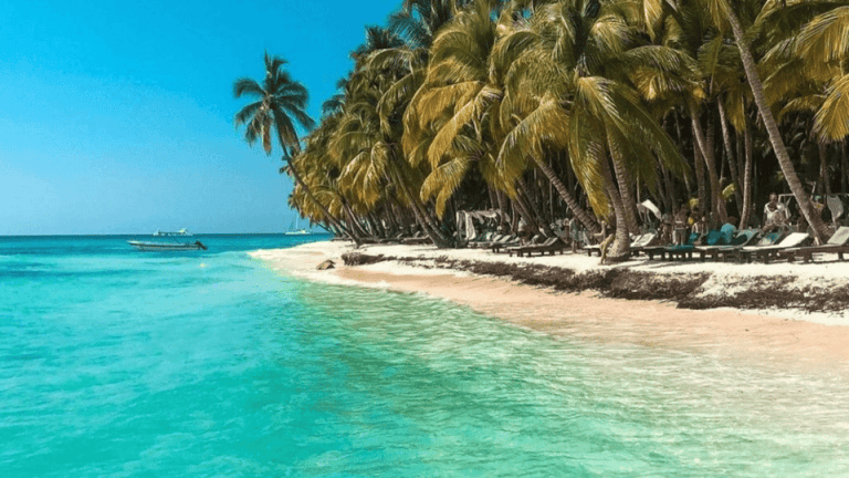 Saona Island Full-Day with Pickup in your Hotel Punta Cana - Photo 3 (Gallery view)