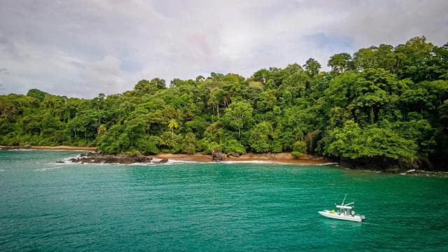 Corcovado National Park: Three Days and Two Nights Corcovado