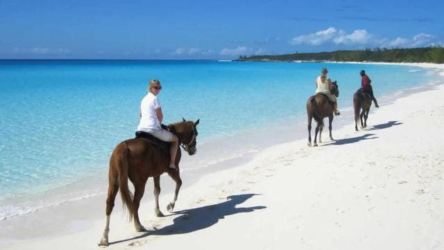 Punta Cana: Horseback Riding through Stunning Beaches - Photo 5 (Gallery view)