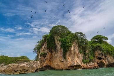 Sabana de la Mar: Los Haitises National Park Day Trip Free - Photo 3 (Gallery view)