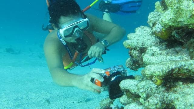 Punta Cana: Guided Power Dive Adventure - Dominican Republic
