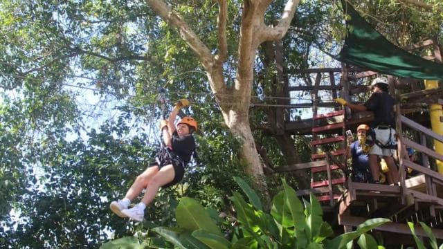 Río Grande: Rainforest Zipline Experience