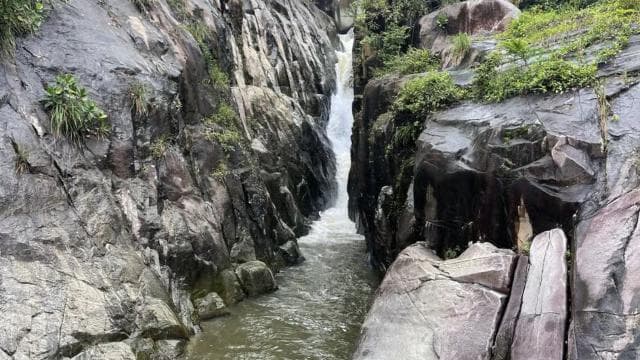 PUERTO RICO: Custom Hiking Tours with Transportation!! - Photo 5 (Gallery view)