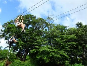 Puerto Plata: Zip Line Adventure - Dominican Republic