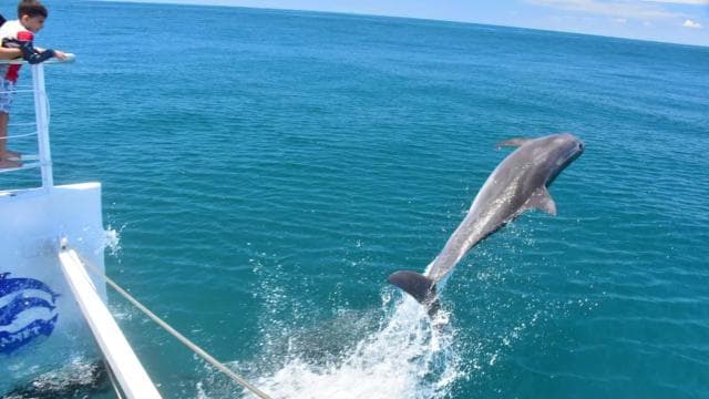 All-Inclusive-Katamaran-Öko-Abenteuer mit Mittagessen - Dominican Republic