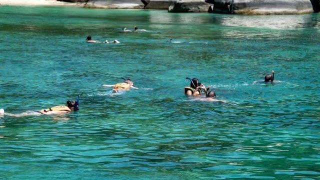 La Romana: Catalina Island Day Trip with Lunch & Drinks - Photo 1 (Main angle)