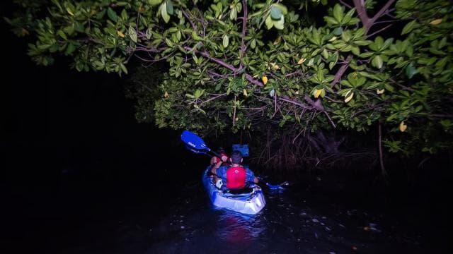 From San Juan: Bioluminescent Bay Kayak Adventure at Night - Photo 2 (Gallery view)