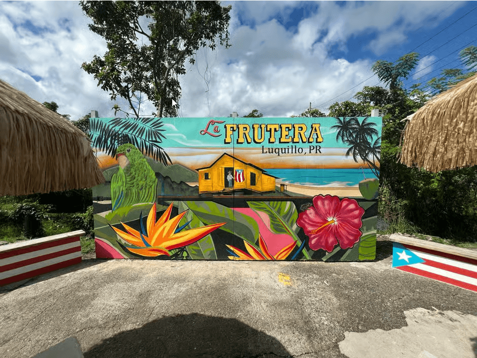 El Yunque Rainforest Waterslides and Beach Tour & Transport - Photo 4 (Gallery view)