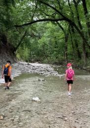 Private: Damajagua Waterfalls Adventure with Jungle Trek