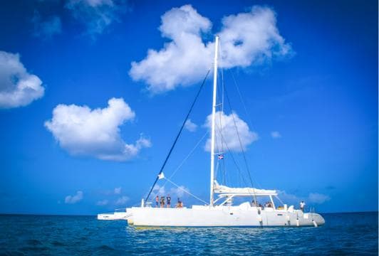 Bayahibe : excursion d'une journée sur l'île Saona - Photo 4 (Gallery view)