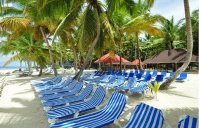 Saona Island: Full-Day Boat Tour All Inclusive - Photo 4 (Gallery view)