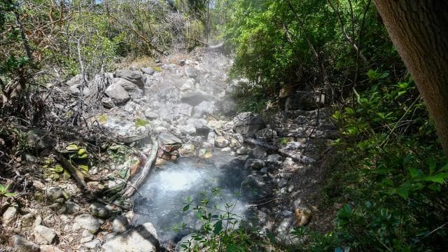 Rincón de la Vieja: Las Pailas trail + Oropendola