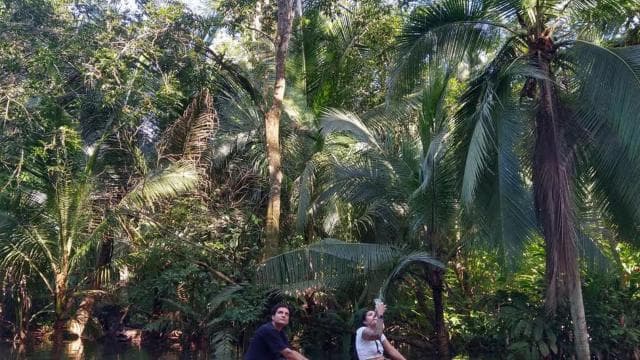 Punta Uva: Kayak and Sloth Watching Tour