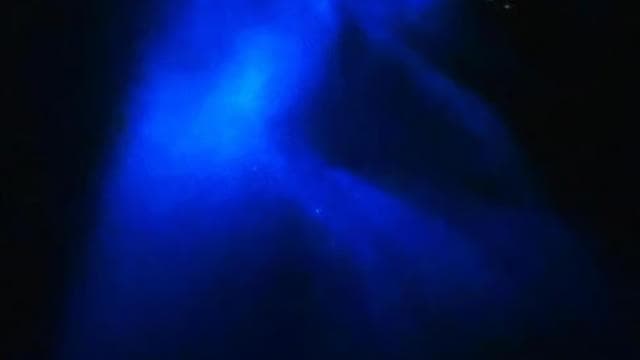 Biolumineszenz-Nachtschnorcheltour ab Pochote Beach - Photo 4 (Gallery view)