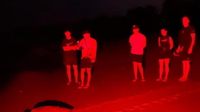 Tamarindo: Turtle Watching Night Tour with Expert Naturalist - Dominican Republic