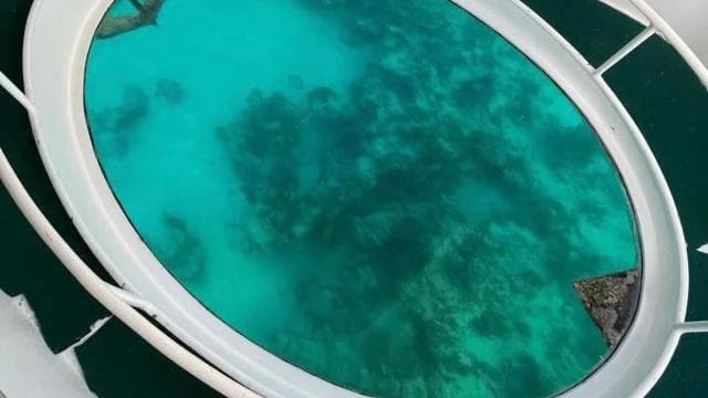 Punta Cana Scuba Doo: Discover Marine Life In a Fun Way - Dominican Republic