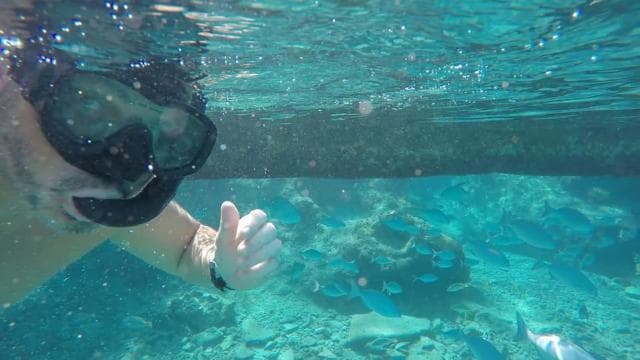San Juan Snorkeling Tour with Roundtrip Transportation - Photo 3 (Gallery view)