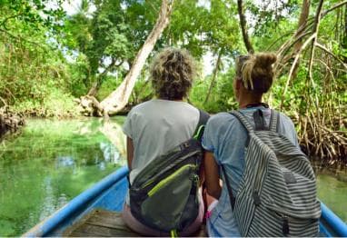 From Las Terrenas: Guided Tour of Los Haitises National Park