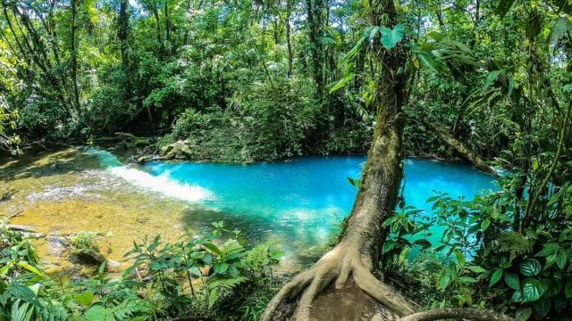 La Fortuna: Rio Celeste Full Day Tour