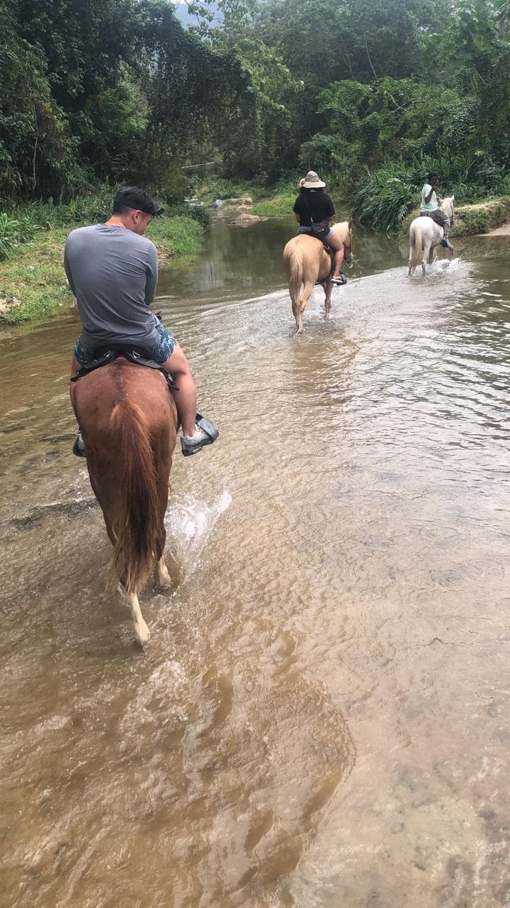 Jarabacoa: Horseride Excursion to Salto Baiguate Waterfall