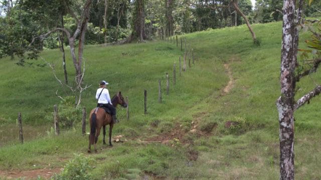 Private Horseback Riding - Río Celeste