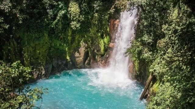 Papagayo Gulf: Rio Celeste Waterfall & Sloth Encounter Tour