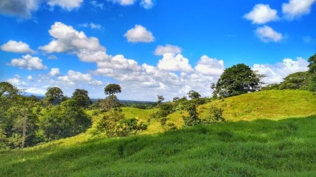La Fortuna: Rainforest Nature Hike with Guide - Dominican Republic