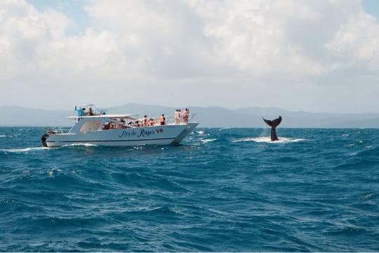 Punta Cana Whale Watching & Kayak at Laguna Limón – Miches Eco Tour