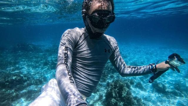 Dive into Paradise: Manzanillo's Dolphin, Snorkel and Lunch